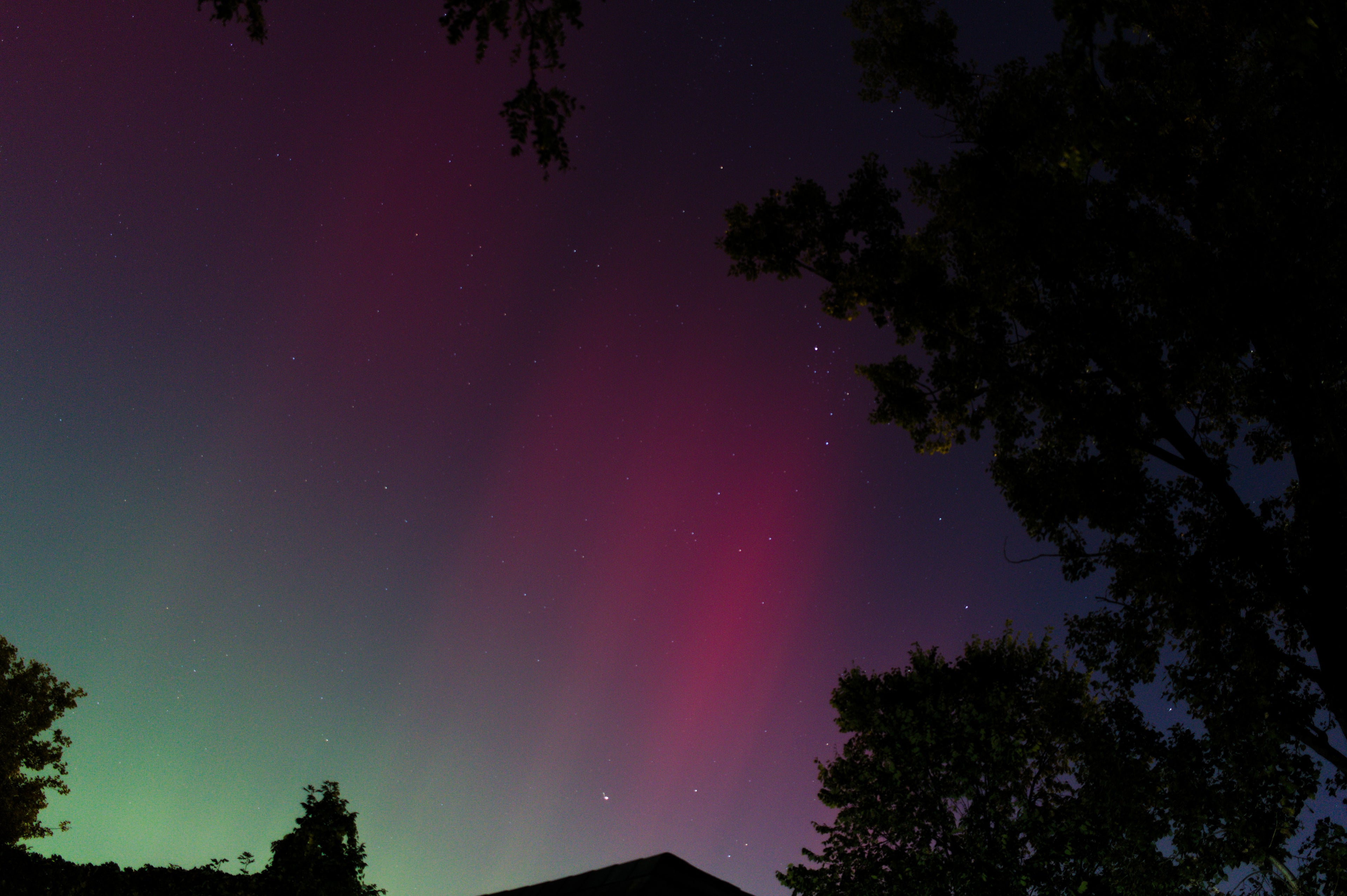 The aurora at my house October 10, 2024