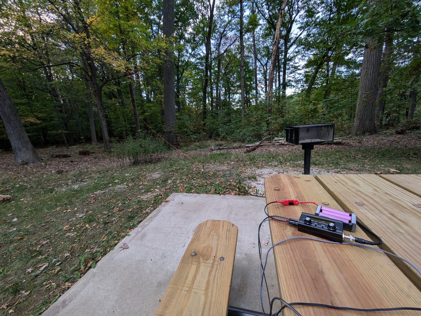 An antenna deployment with a particularly low support about 15m/5ft in the trees. The antenna still worked surprisingly well.